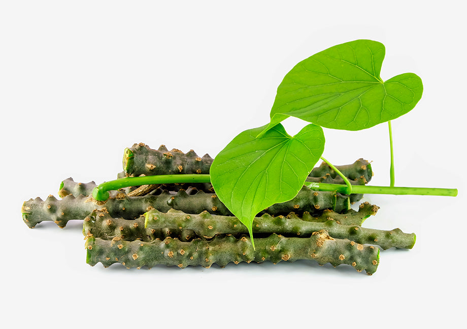 Story of Giloy & Benefits Of It