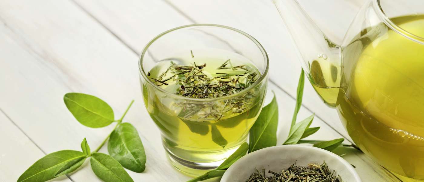Green Tea for Beginners: Your Guide