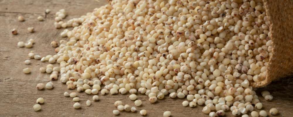 Health Benefits of Millets