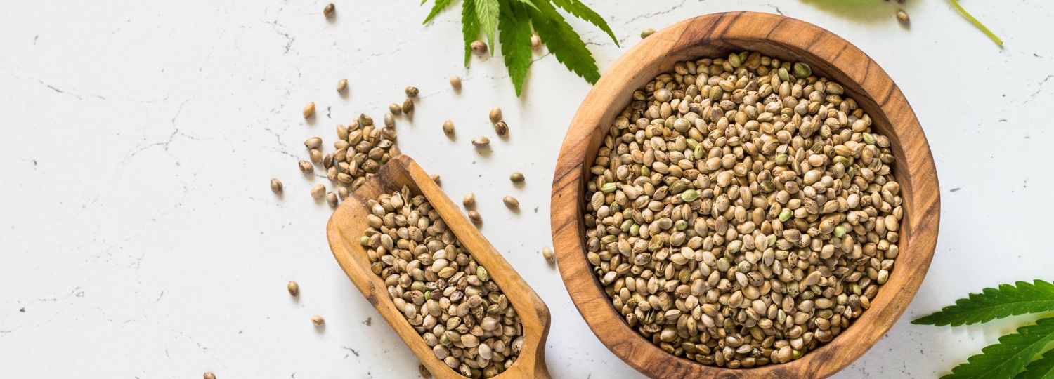 Hemp: The Past, Present, and Future