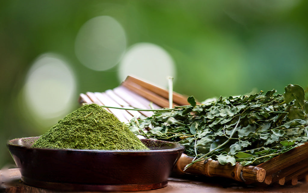 Moringa Oleifera: Nutrition, Benefits and Uses