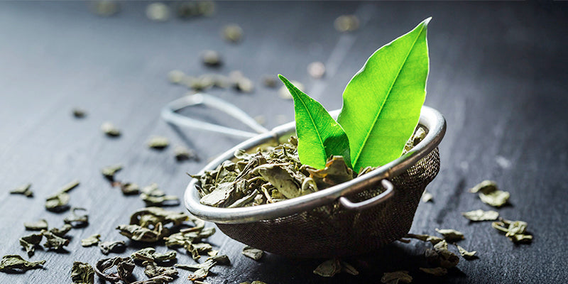 5 Amazing Health Benefits of Drinking Green Tea