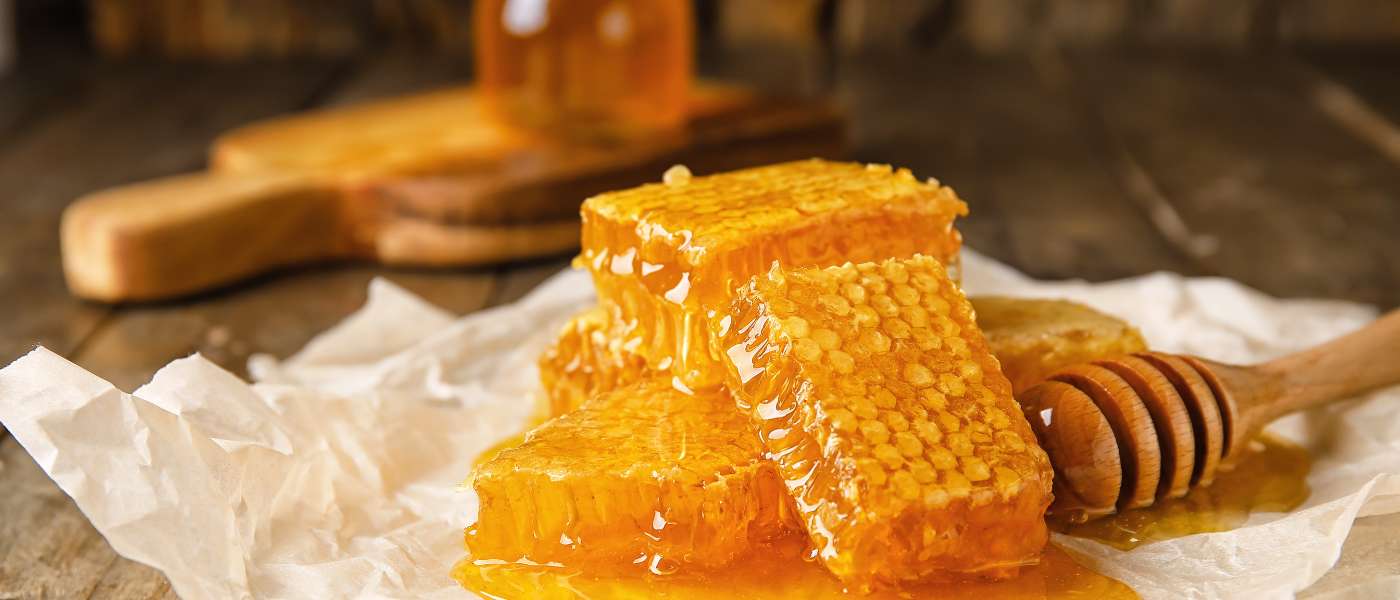 Discover the Essence of the Tarai Lands: The Pahadi Story Forest Honey