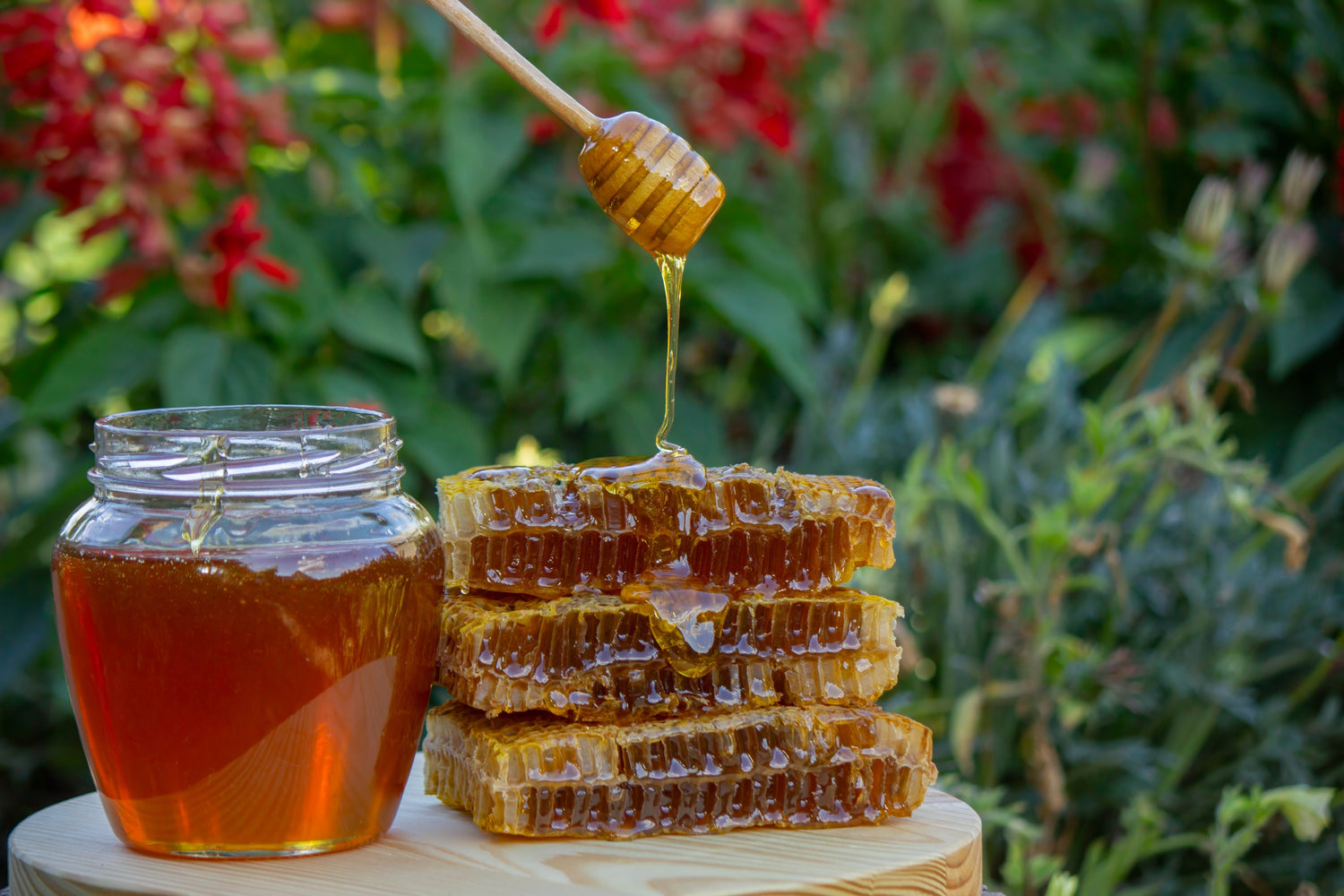 What Is Diastase Activity in Honey and Why the Number Matters More Than the Label