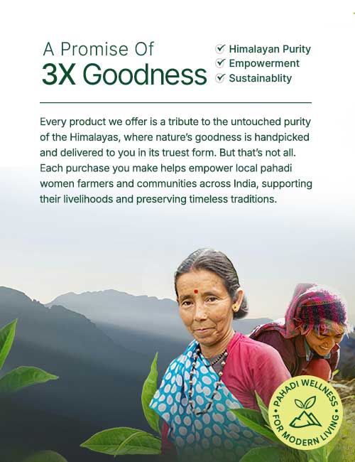 Herb Salt Combo (3 Flavour) - The Pahadi Story