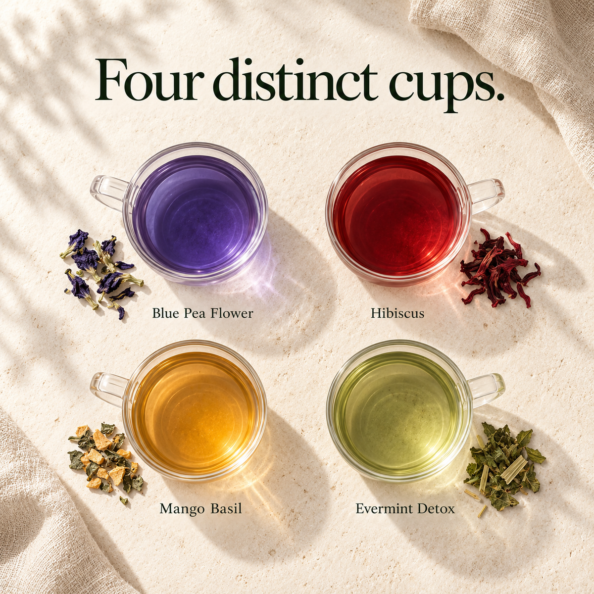 Herbal Tea Discovery Collection - Pack of 4 (50 Grams)