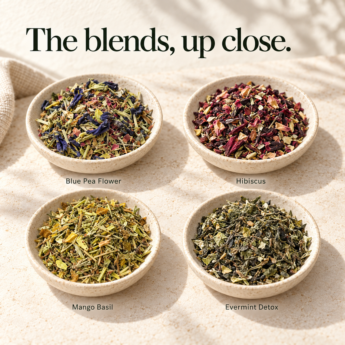 Herbal Tea Discovery Collection - Pack of 4 (50 Grams)