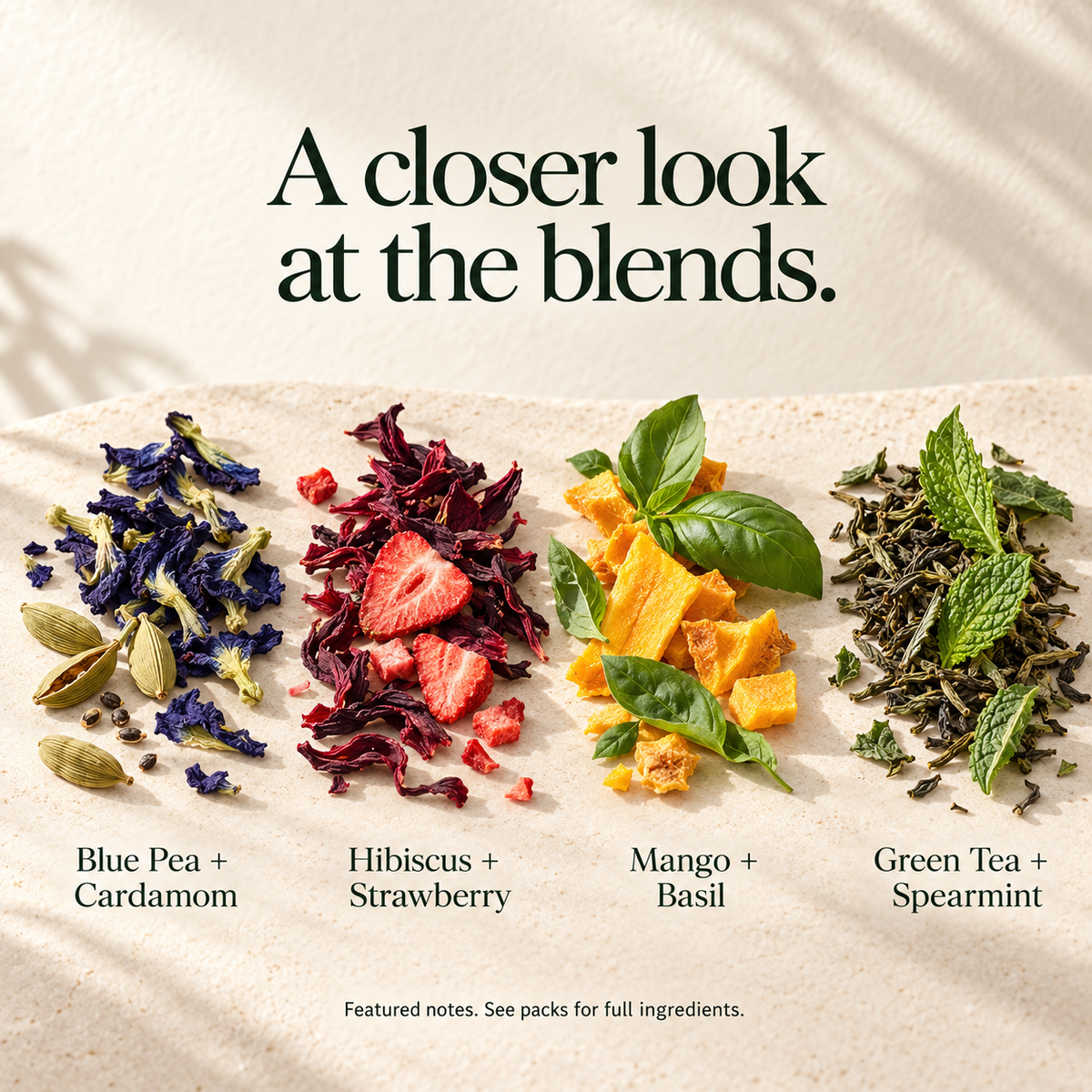 Herbal Tea Discovery Collection - Pack of 4 (50 Grams)