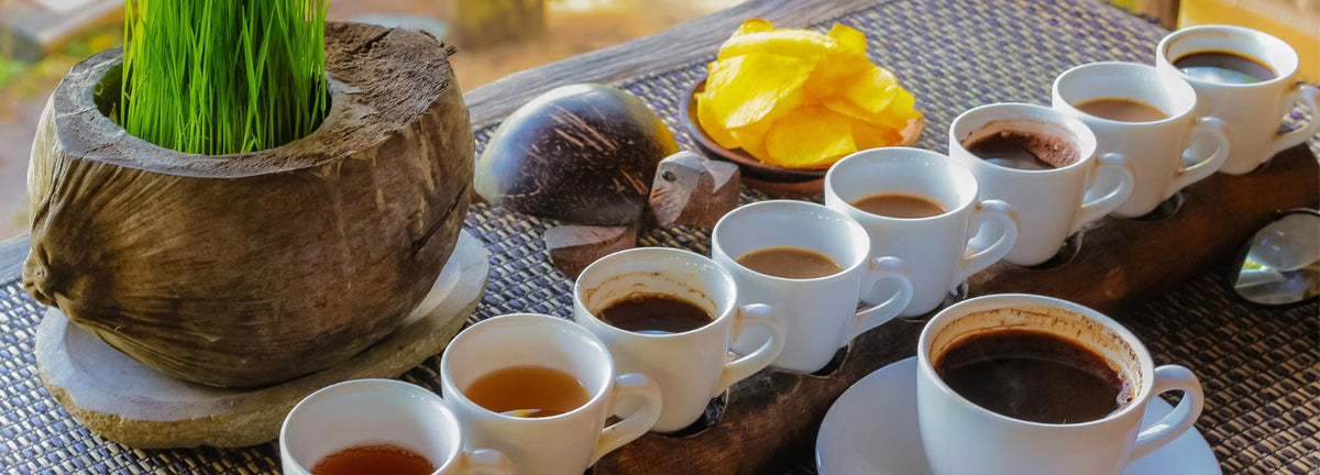 10 Most Expensive Teas in the World | The ahadi Story