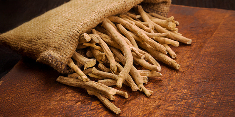 Ashwagandha Benefits for Men and Women