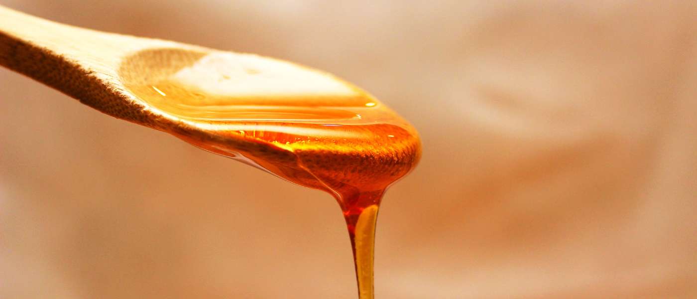 The Sweet Elixir: Diving into Our Honey Varieties