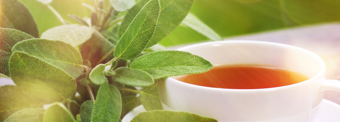 Throat-Soothing Teas To Sip During Allergy Season