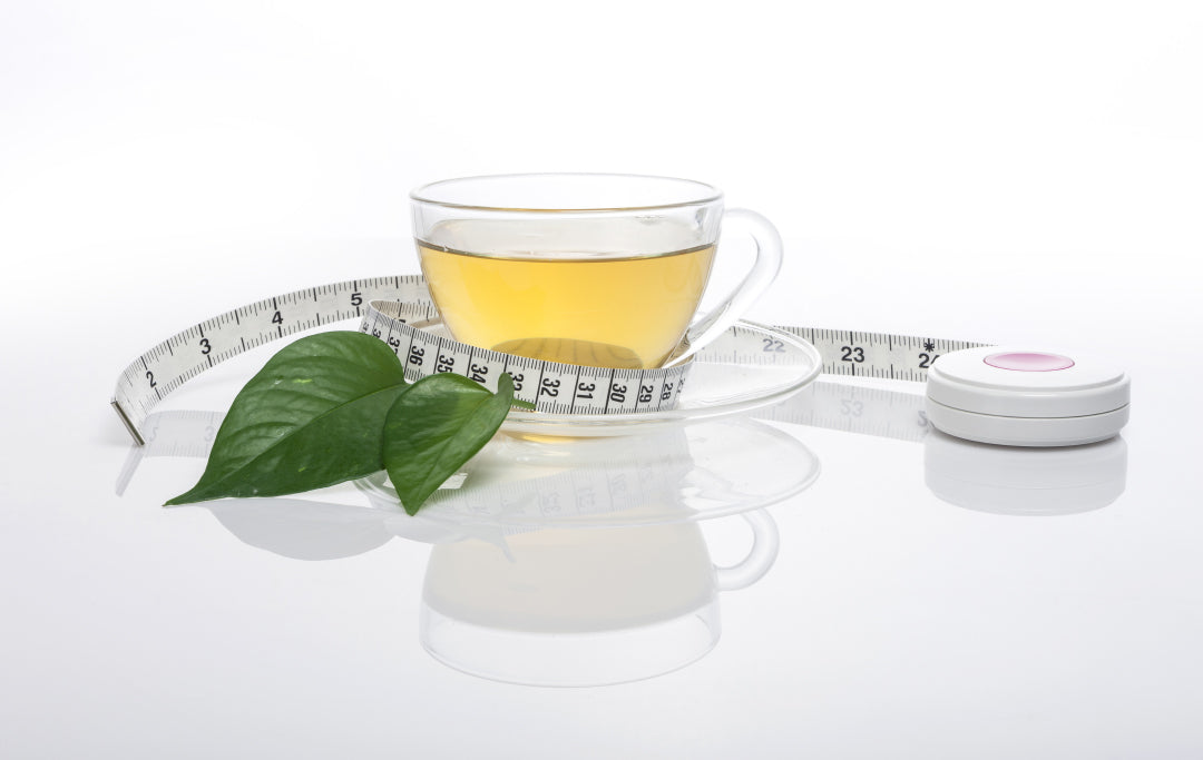 Fat Loss And Green Tea