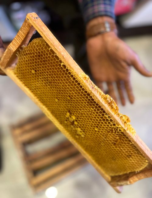 Benefits of Tulsi Honey