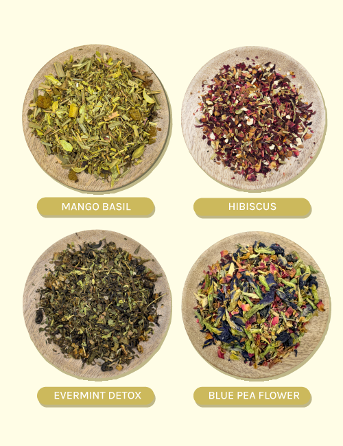 Wellness Herbal Tea Combo - Pack of 4 - The Pahadi Story 